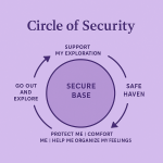 Circle of Security