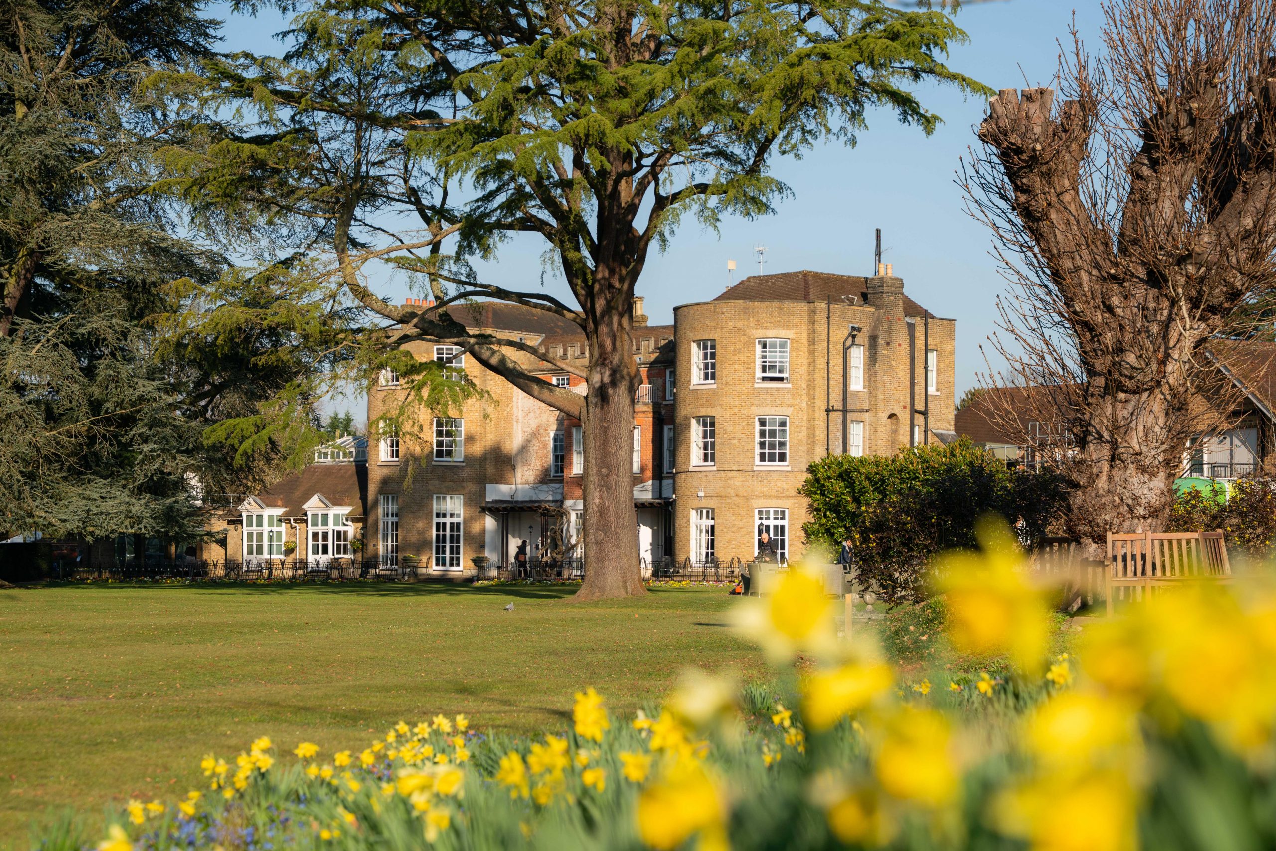 Therapist retreat odney